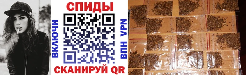 закладки  Вязьма  Бутират буратино 