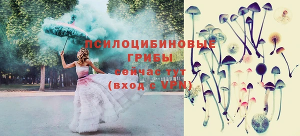 амф Богородицк