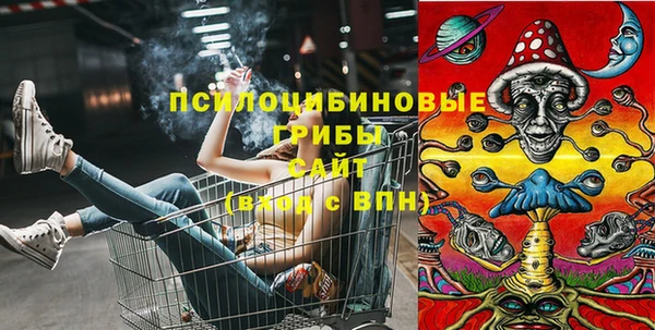 ГАЛЛЮЦИНОГЕННЫЕ ГРИБЫ Гусиноозёрск