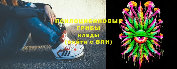соль ск Бронницы