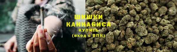 амф Богородицк