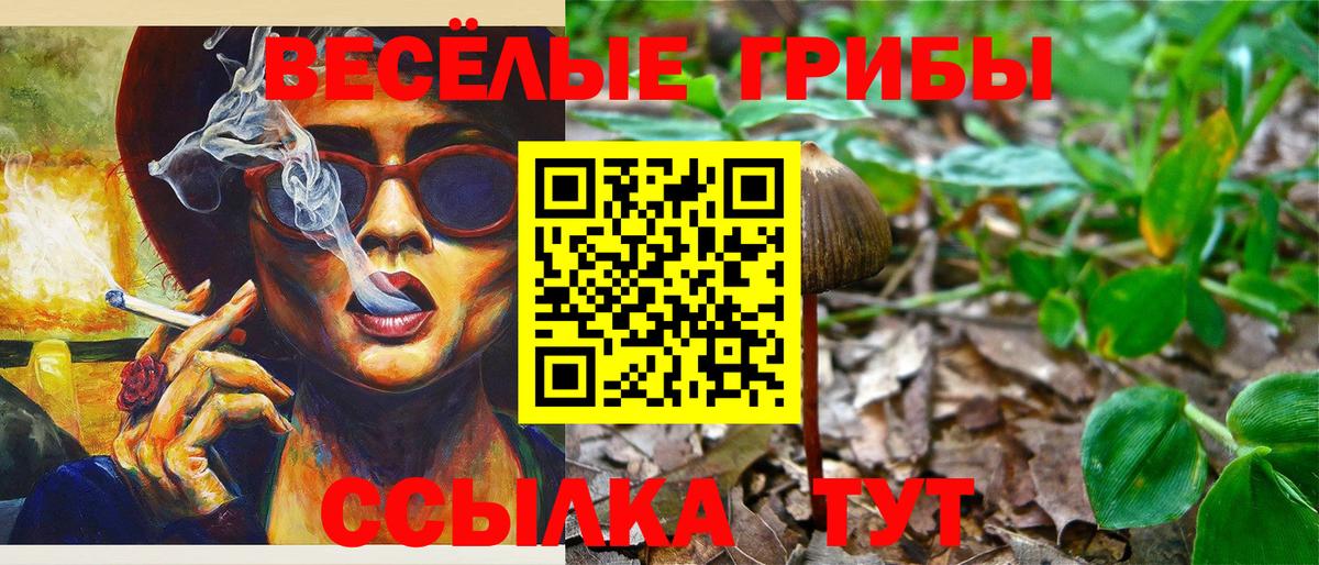 Галлюциногенные грибы мицелий Вязьма