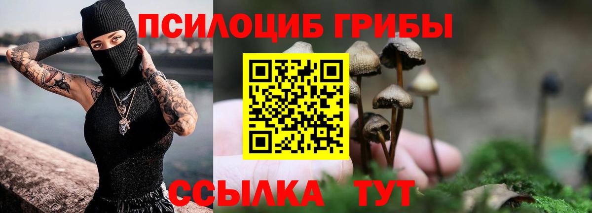 Alpha PVP Вязьма