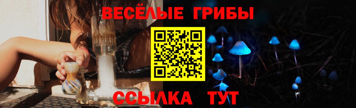 Вязьма  Галлюциногенные грибы Cubensis  Вход с VPN 